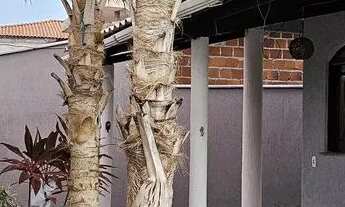 Imagem 7: Casa disponível pra réveillon