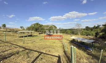 Imagem 7: Sitio 10 alqueires (48,4 hectares) Piracanjuba - Go