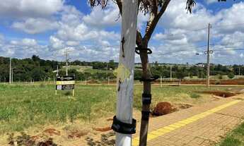 Imagem: LOTE NO LOTEAMENTO BRISA DO LAGO, TOLEDO-PR