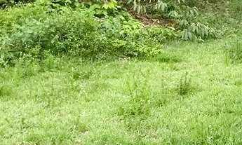 Imagem 5: Lote em condomínio Praia dos Passarinhos bairro - Ponta Negra - 719m2