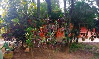 Imagem 6: Refúgio Tranquilo em Jaguariúna - Chácara Aluguel