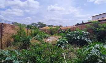 Imagem 6: Excelente oportunidade! Terreno medindo 10 x 30 metros (300 m²