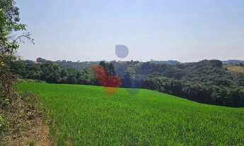 Imagem 6: Área de 20.000 m para Chácara Próxima a Araucária Ótima Oportunidade