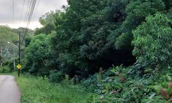 Imagem 5: CAXIAS DO SUL - Terreno Padrão - DESVIO RIZZO