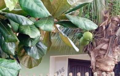 Imagem 3: Casa 128 m² - Jardim América - Assis Chateaubriand - PR