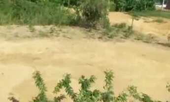 Imagem: Vendo, troco ou negocio lote em brejo dos