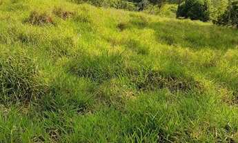 Imagem: SÍTIO PARA VENDER EM CAÇAPAVA