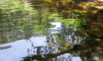 Imagem: Casa angelim av principal vila da gloria