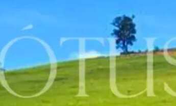 Imagem: LOTES EM ATIBAIA COM GUIAS E SARJETAS