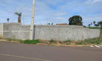 Imagem 5: Terreno para Venda em Presidente Epitácio, AEROPORTO