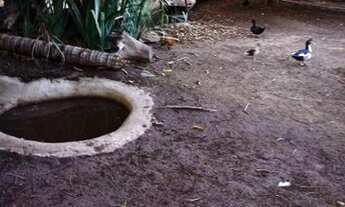 Imagem 5: Chácara à venda, 720 m² por R$ 280.000,00 - Monte Sinai - Esmeraldas/MG