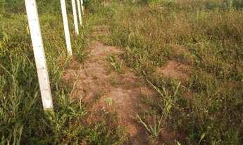 Imagem 3: Vendo ou troco por veículo