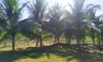Imagem 3: Fazenda / chácara