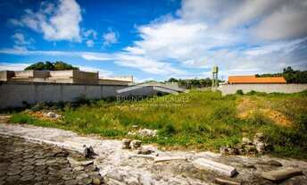 Imagem 4: Porto Seguro - Terreno Padrão