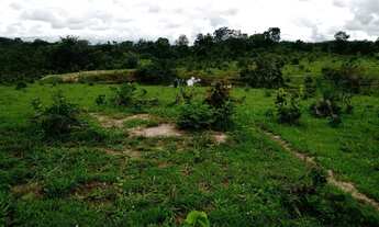 Imagem: FAZENDA TOPISSIMA venda urgente