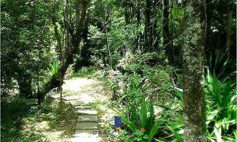 Imagem 2: SÍTIO VENDA 88.000 M PIEDADE 30 MINUTOS SOROCABA