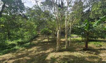 Imagem 2: 3997 metros quadrados apenas 147 mil reais