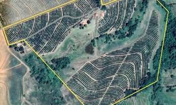 Imagem: Sitio de 12 alqueires próximo a Catanduva-SP