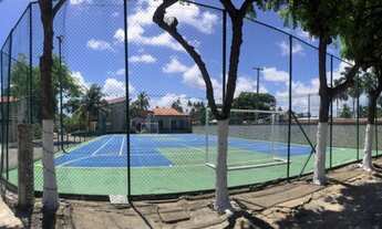 Imagem 6: Maragogi/peroba beira mar