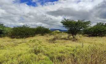 Imagem 3: Vendo terreno para chácara próximo a serra talhada