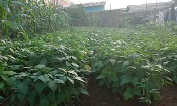 Imagem: Vendo terreno