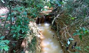 Imagem 7: Fazenda de 20 mil metros,riacho cristalino ,bela vista,bem localizado,Jaboticatubas