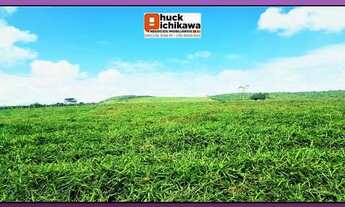 Imagem 4: FAZENDA DE 550 TAREFAS - Nossa Senhora das Dores