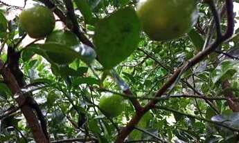 Imagem 4: Vendo ou troco CHÁCARA