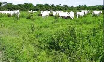 Imagem 3: Fazenda para Venda em Centro Bonfinópolis de Minas-MG - 3037