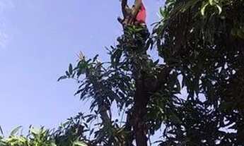 Imagem 3: Vendo casa no operário