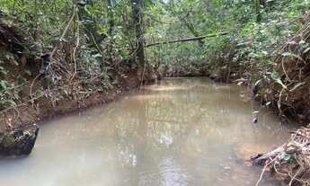 Imagem 5: Sitio 3.100m² com água nos fundos, contendo porteira só entra quem tem chave,Jaboticatubas