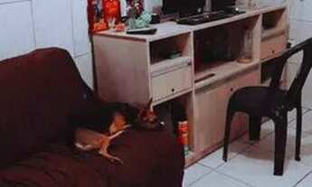 Imagem: Troca se casa por uma maior