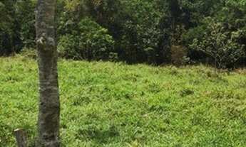 Imagem 2: Fazenda Bela Vista