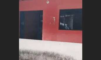 Imagem 4: Casa Casa com 4 dormitórios