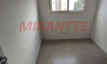 Imagem 6: Lindo apartamento em Mandaqui