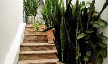 Imagem: Florianopolis - Kitchenette/Conjugados