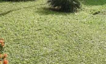 Imagem 16: Alugo casa temporada