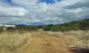 Imagem 4: Vendo terreno para chácara próximo a serra talhada