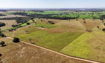 Imagem 2: 44 alqueires - Excelente aproveitamento