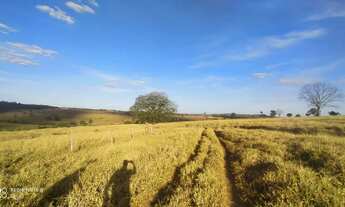 Imagem 2: Fazenda 53 alq. em trindade Go. 7 km este.chão R$: 23.850.000