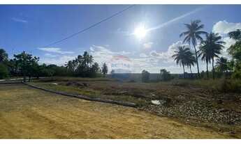 Imagem 6: Terreno em Maragogi 1493,53m2 Condomínio Praia Dourada Prime