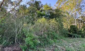 Imagem 5: Terreno - Bairro Carniel