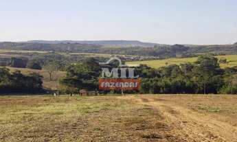 Imagem 7: Fazenda 31 alqueires (150 hectares) Silvania - GO