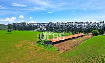 Imagem 6: Fazenda - Rural 2 quartos