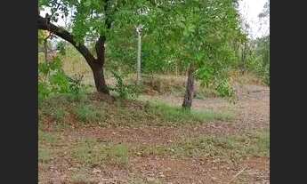 Imagem 4: Vende-se Chácara de 44 Mil m² em Área Urbana de Palmas