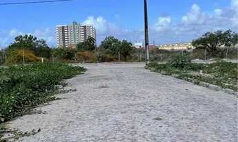 Imagem: Vendo terrenos Loteamento Aquarius 4 - Aruana