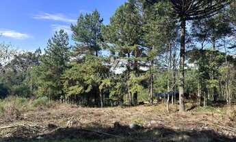 Imagem 2: TERRENO EM LOTEAMENTO DE GRAMADO