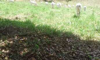 Imagem 5: Áreas à venda em rua pública, ZONA RURAL, Ubaíra, BA