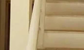 Imagem 7: Galpão em estrada da Lagoa - Centro - Vargem Grande Paulista/SP