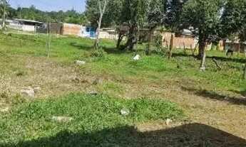 Imagem 4: Casa Casa com 1 banheiro